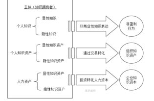 知识资产是由什么组成