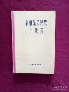 一本关于兄弟俩得小说，在一个小县城，改革开放时期的股市，一个靠收废品发财了，成了企业家