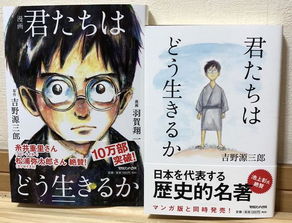 宫崎骏新电影你想活出怎样的人生,宫崎骏所有电影海报