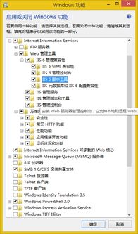 win10安装2005报IIS警告