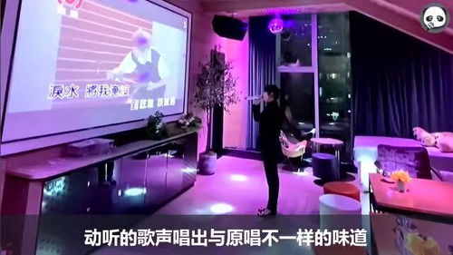 励志 ktv-公司聚会去KTV唱什么歌？