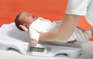 刚出生的婴儿,理想的体重不是8斤8两,而是这个数,说明发育很好