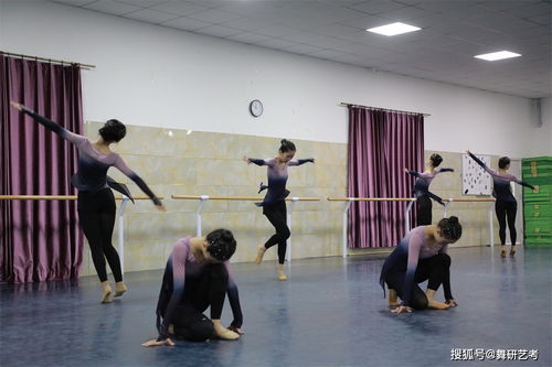云南艺考舞蹈集训班,昆明有艺考一对一辅导班吗，是哪家？去过的介绍下啊！