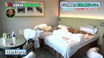 日本五星级酒店打扫卫生过程也被全程拍了 洁癖症小心观看
