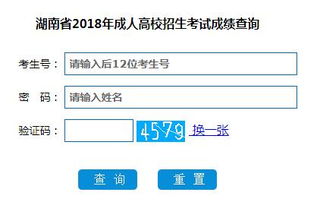 湖南成人高考成绩查询官方入口,湖南成考查询成绩登录入口2023 查询网址是什么？ 
