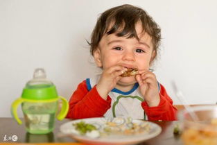 宝宝到底多大可以吃肉 太早吃肉 太晚吃肉都不好 