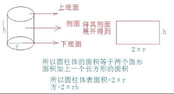 圆柱的表面积公式 搜狗图片搜索